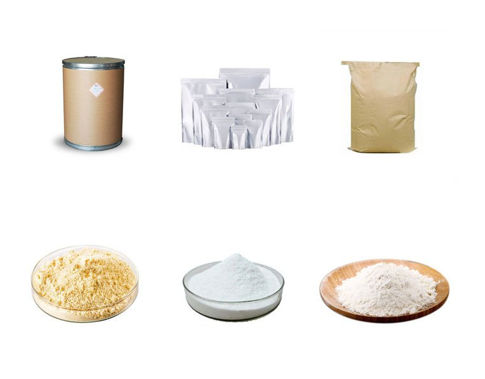 20230921110844 20230921110844