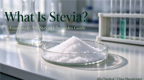 Τι είναι η Στέβια; Οδηγός Rebaudioside A & Steviol Glycosides